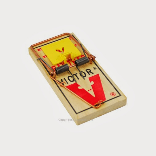 382_556_victor-holdfast-mouse-trap-m325-12traps-victor-mouse-trap