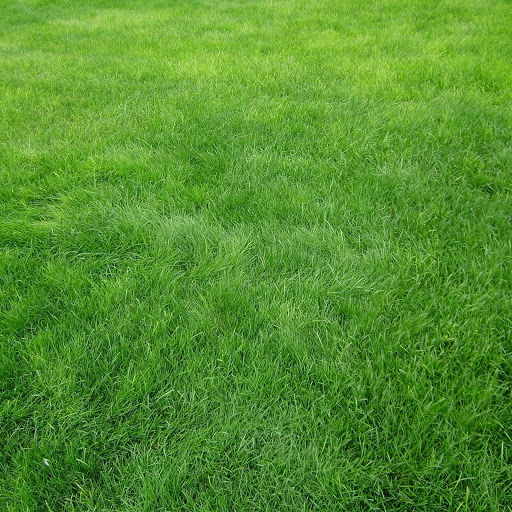 Hd-161561-ascw161561