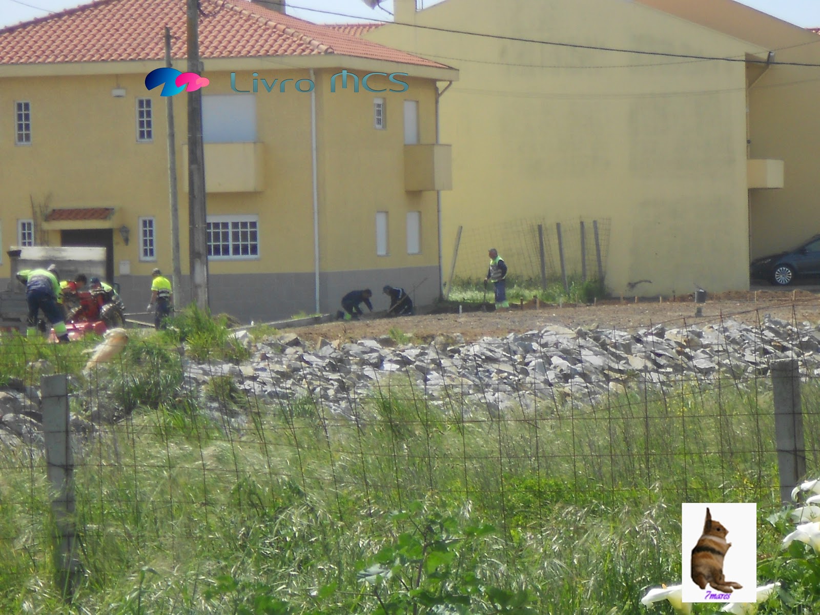 [Bolg%2520Gazeta%2520de%2520Espinho002%2520Livro%2520MCS%255B4%255D.jpg]