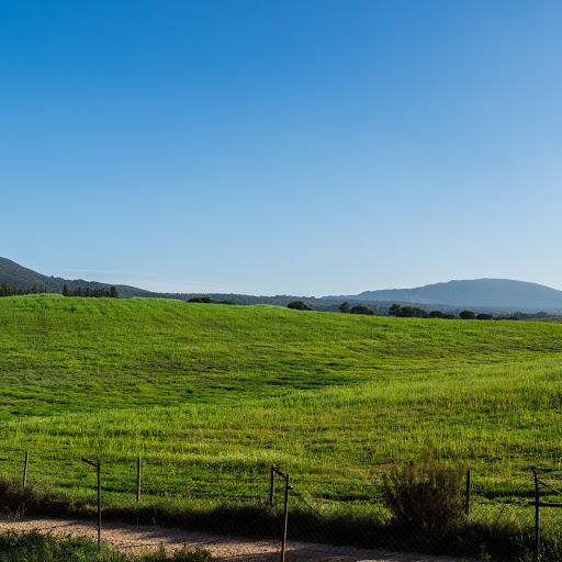 Hd-165143-ascw165143