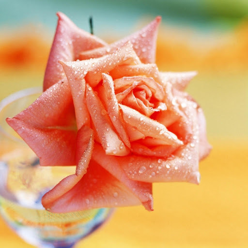 Hd-171416-ascw171416