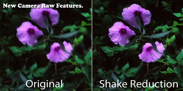 [shake%2520reduction%255B6%255D.jpg]