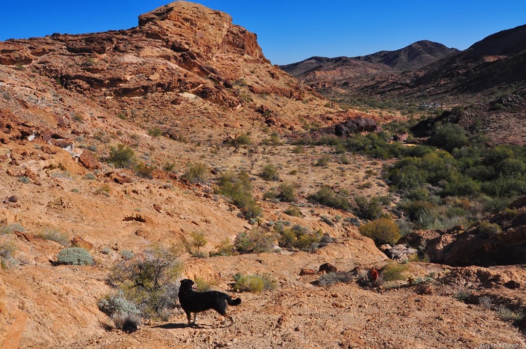 [DSC_0080%255B4%255D.jpg]