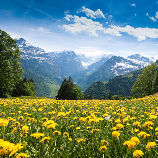 Hd-185360-ascw185360