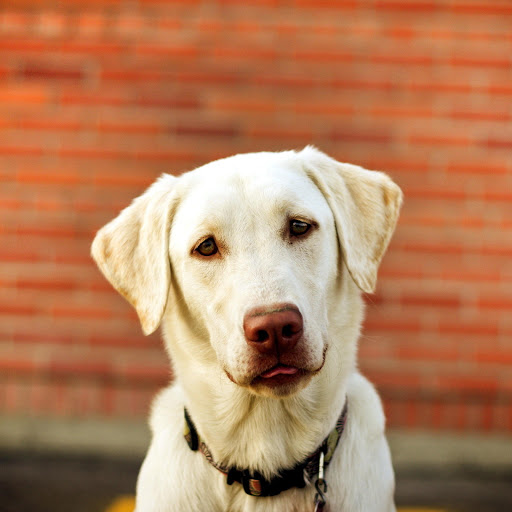 Hd-162356-ascw162356