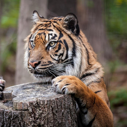 Hd-181538-ascw181538