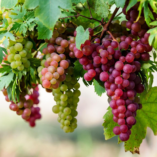 Hd-164427-ascw164427