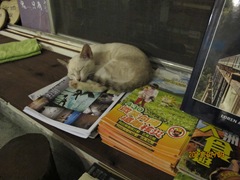 110709 302-晃晃二手書店