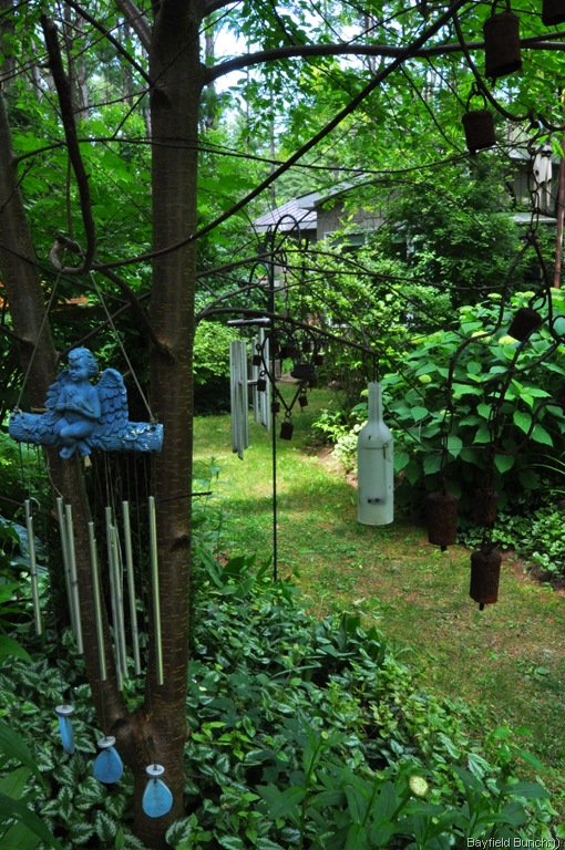 [DSC_0029%255B9%255D.jpg]