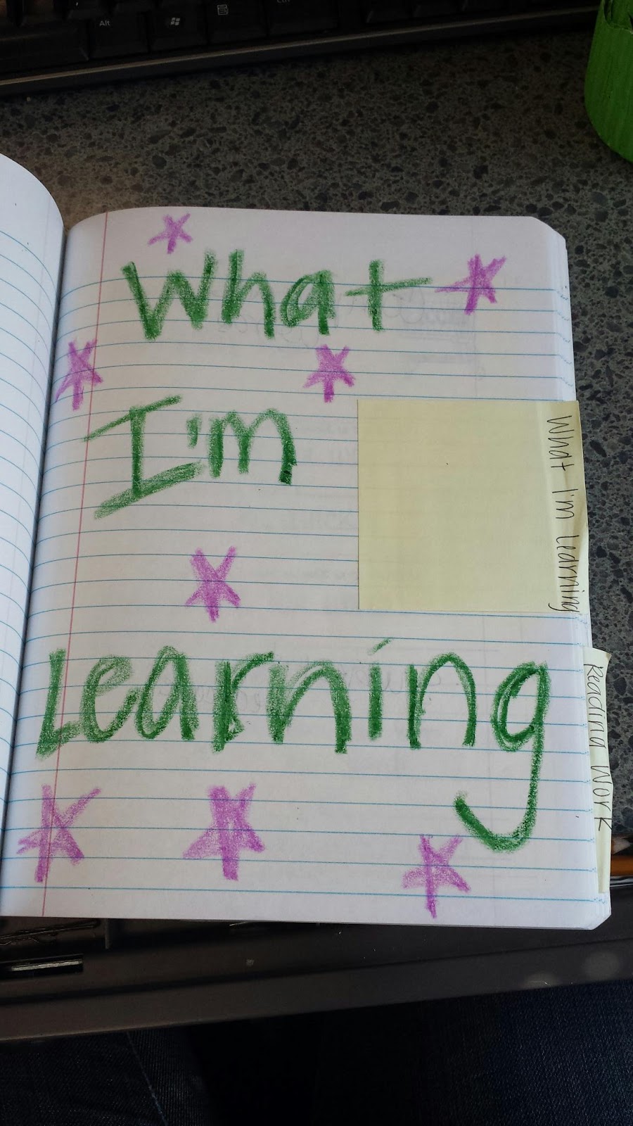 LoveN3rdGrade: Reader's Notebooks!!