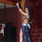 IMG_4229.JPG