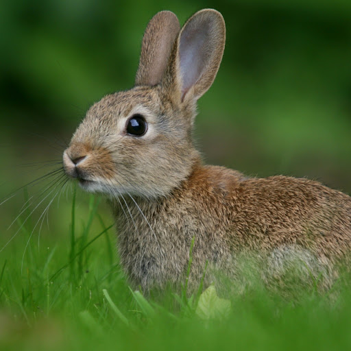 Hd-180384-ascw180384