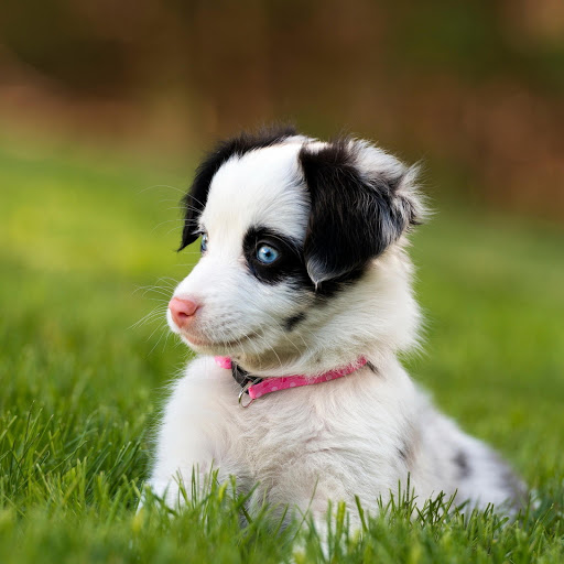 Hd-190544-ascw190544