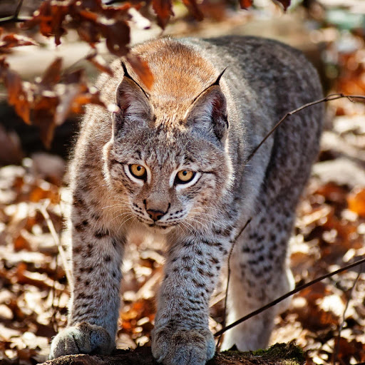 Hd-180359-ascw180359