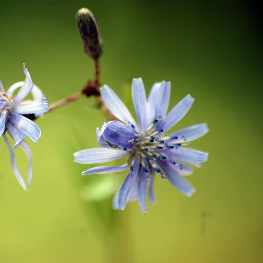 Hd-165199-ascw165199