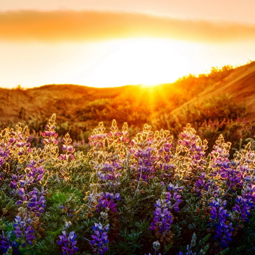 Hd-141722-ascw141722