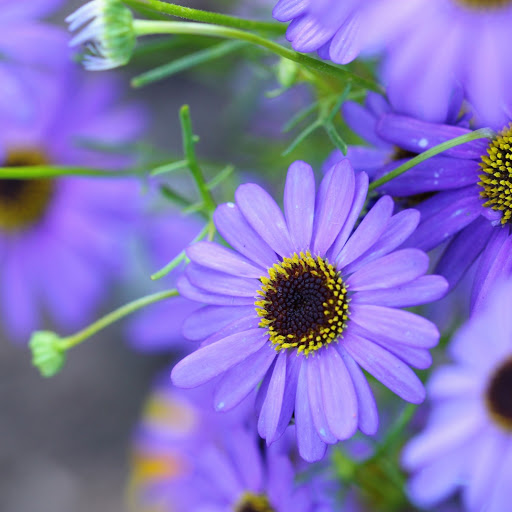 Hd-154297-ascw154297