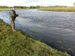 Skjern Au _ Oktober 2012 - 041