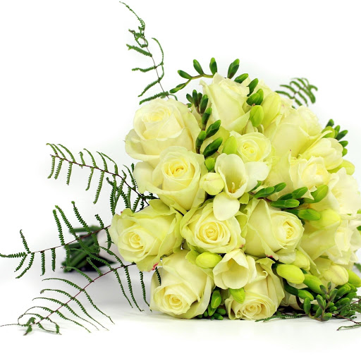 Hd-178107-ascw178107