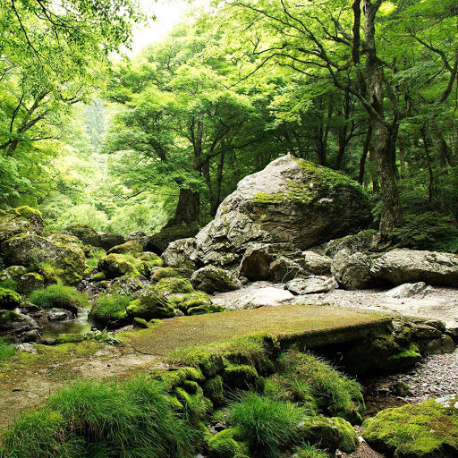 Hd-150373-ascw150373