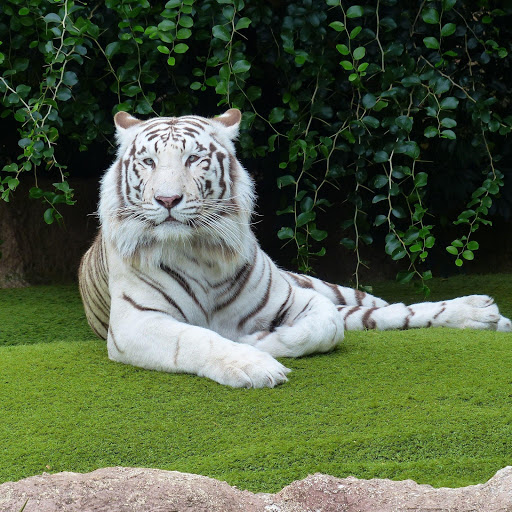 Hd-168323-ascw168323