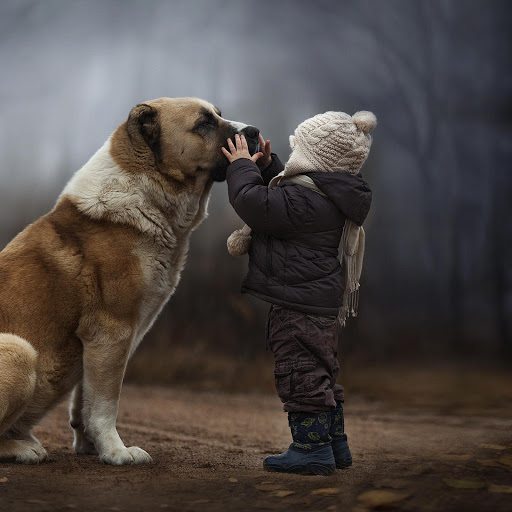 Hd-161405-ascw161405