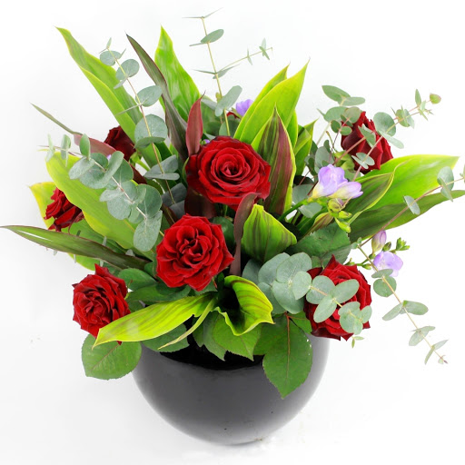 Hd-178083-ascw178083