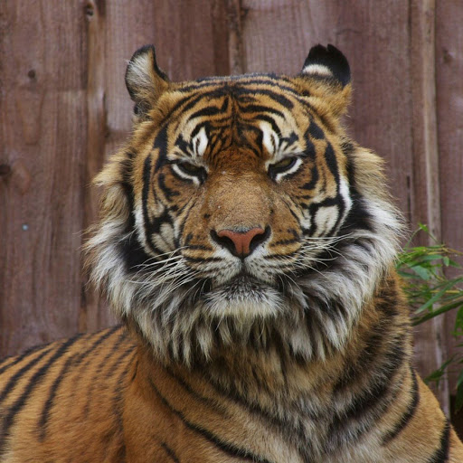 Hd-151173-ascw151173