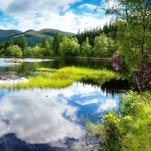 Hd-141737-ascw141737