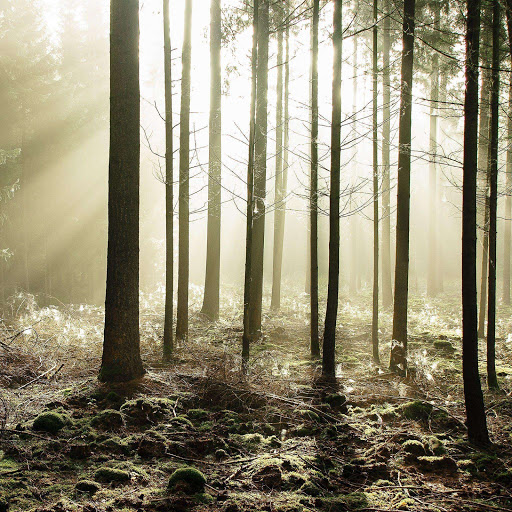 Hd-159059-ascw159059