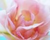 clip_image015 clip_image015