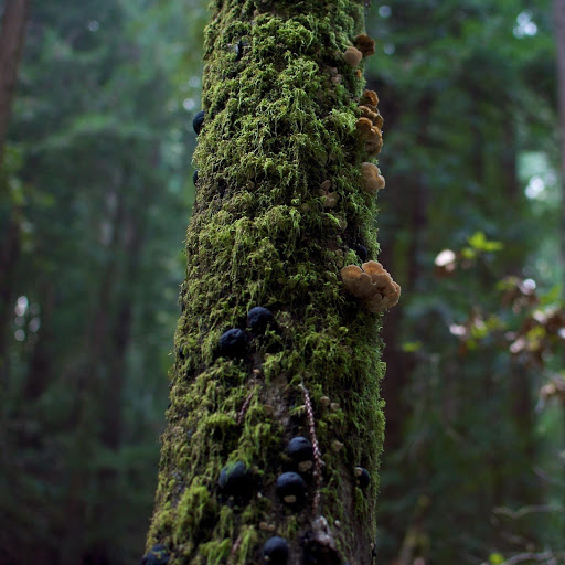 Hd-143283-ascw143283