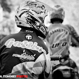 By Alessandra Tommei