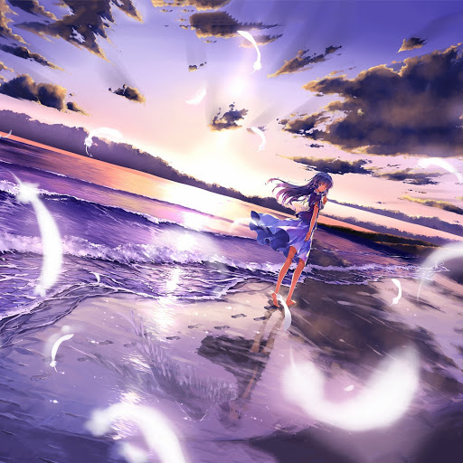 Hd-162818-ascw162818