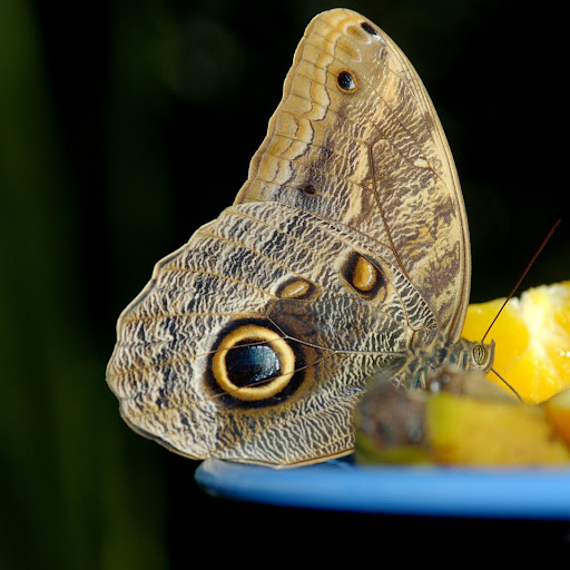 Hd-141863-ascw141863