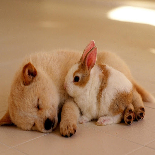 Hd-167836-ascw167836