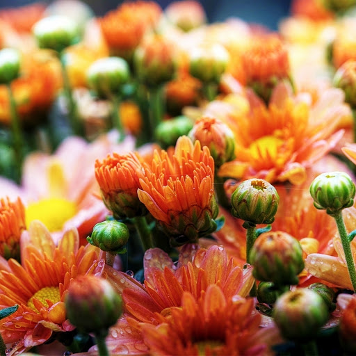 Hd-145899-ascw145899