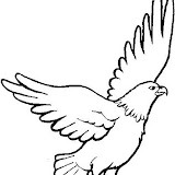 EAGLES COLORING PAGES