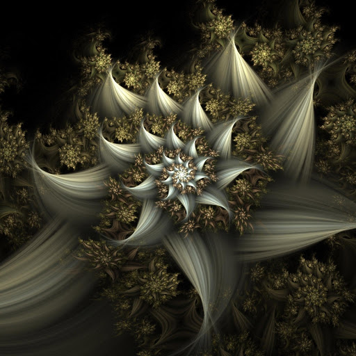 Hd-170975-ascw170975