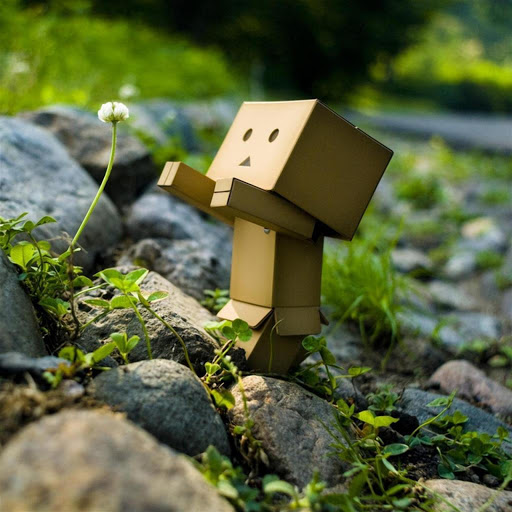 Hd-135070-ascw135070