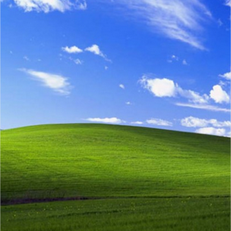Documental sobre el origen del fondo de pantalla de Windows XP