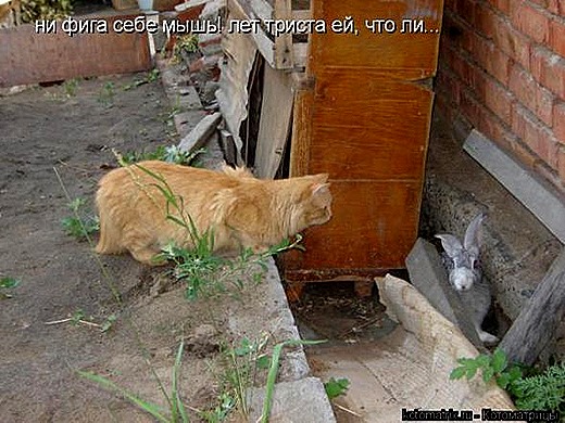 [f0f07056bb1e92c14332ebaf381_prev%255B8%255D.jpg]