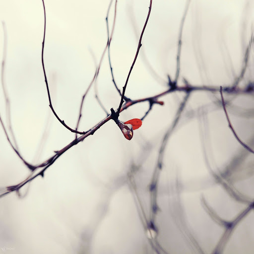 Hd-143262-ascw143262