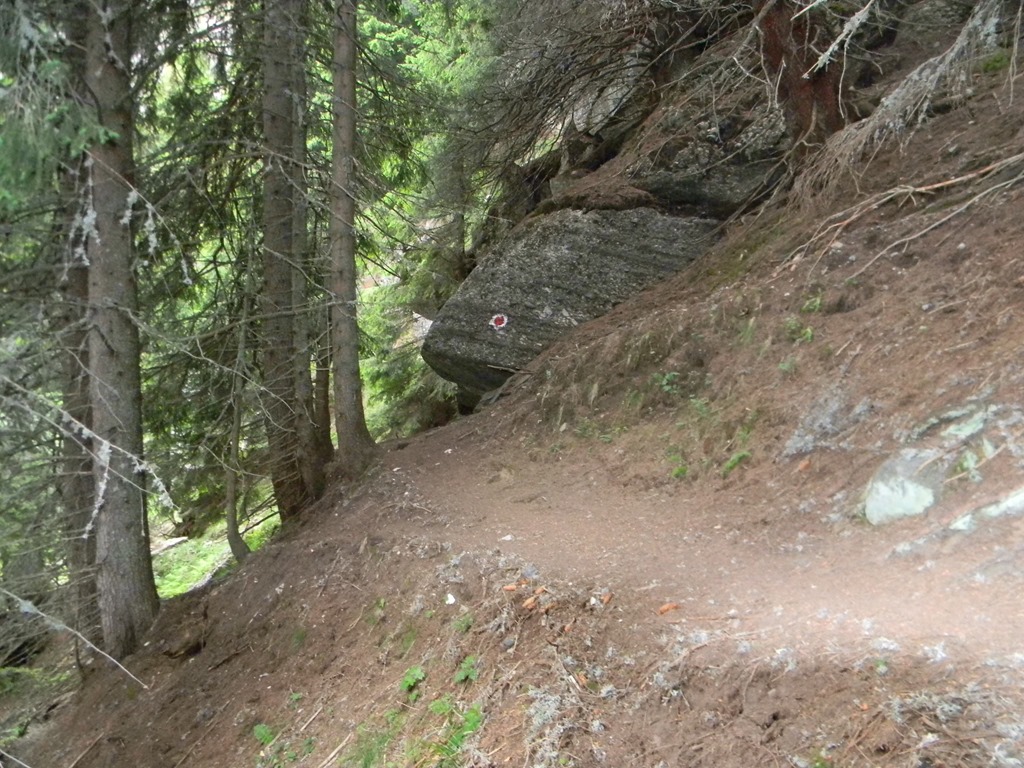 [DSCN37443.jpg]
