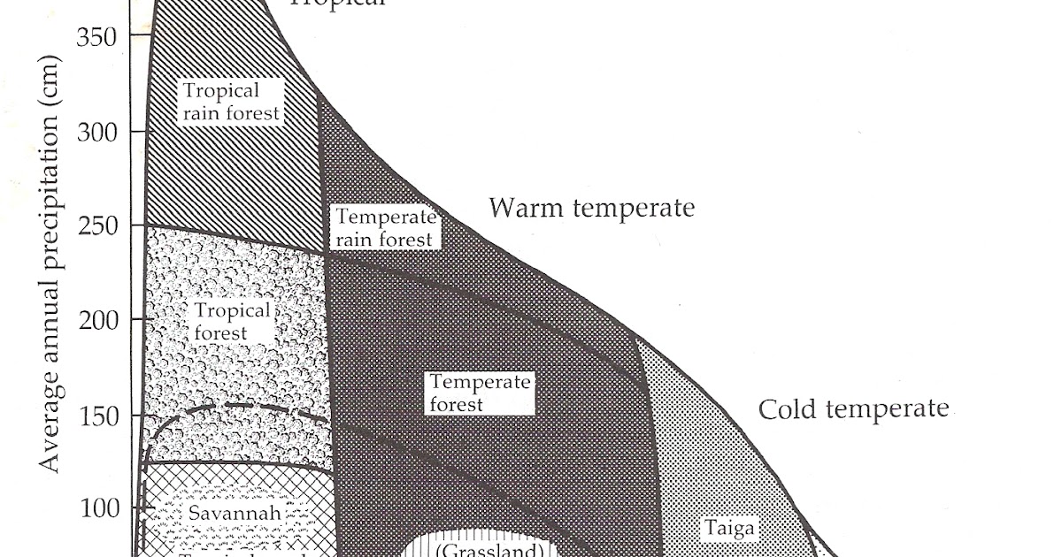 whittaker diagram seeing the environmental forest ecological consequences whittaker diagram seeing the environmental forest ecological consequences
