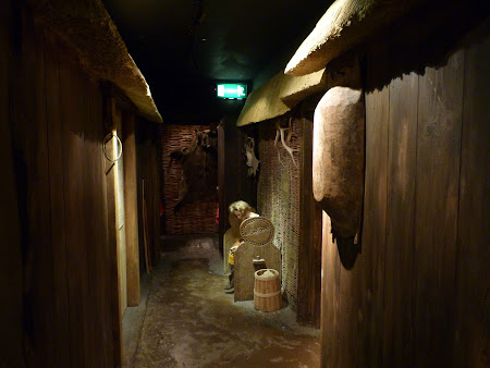 Obiective turistice Irlanda: Muzeu Dublinia sat viking