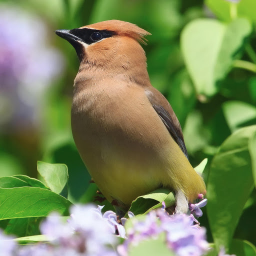 Hd-178066-ascw178066