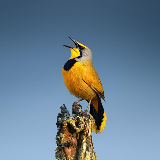 Hd-178651-ascw178651