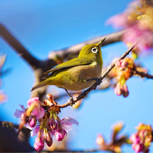 Hd-185829-ascw185829