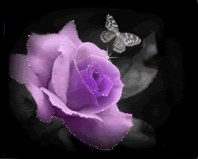 f13f645abc754024b9d47abbe53554de-2.gif